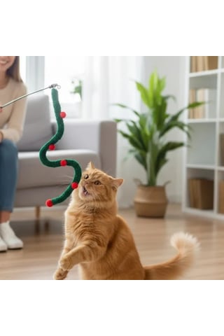 Ers Süs Tasarımlı Kedi Oltası
