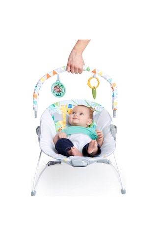 Bright Starts Bebek Salıncağı, Rahatlatıcı Titreşimli Bebek Ana Kucağı