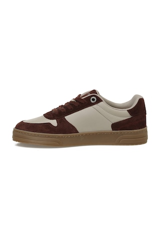 U.s. Polo Assn. Petra 5pr Bordo Kadın Sneaker Bordo