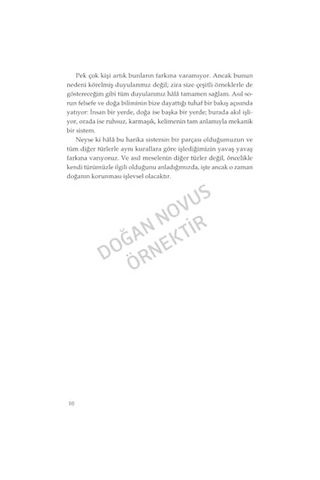 Ormanın Kalbi - İnsan İle Doğa Arasındaki Görünmez Bağ