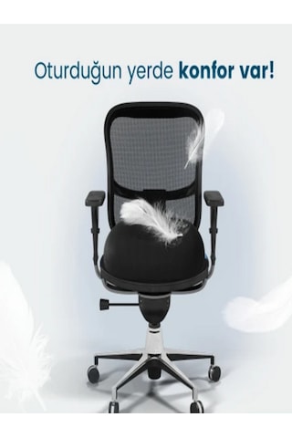 Rylmed Oturma Minderi Ortopedik Visco