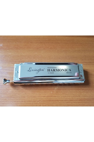Cremonia Hm10c Kromatik Pompalı 10 Delikli Mızıka
