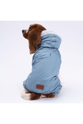 Pettrend Gri Kürklü Tulum Küçük Irk Köpek Yağmurluğu