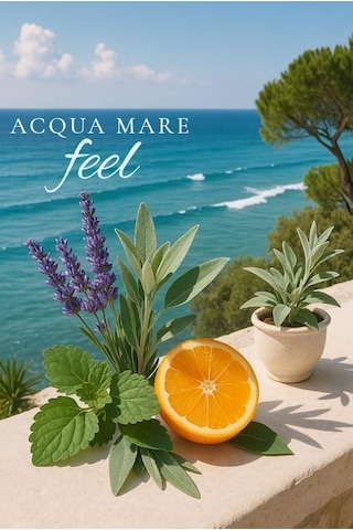 Deniz Suyu Kokusu Soul Of Caria Ev Parfümü 200 Ml Karışık