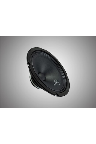 For-x Xmd-1016n-160wmax-70w Rms-profesyonel 16cm Neodyum Midrange