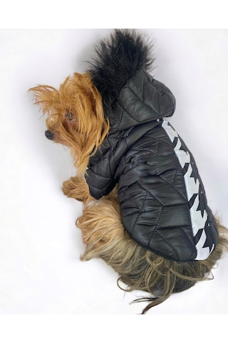 Kemique Luxy Black Köpek Montu Ceketi Köpek Dış Giyim