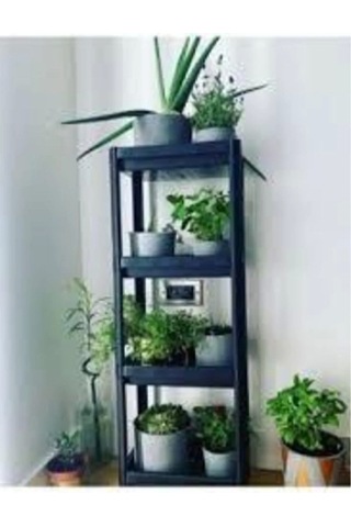 Shelf Unit Raf Ünitesi Siyah Renk 4 Katlı Royaleks-81414 Renkli