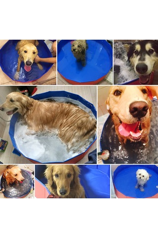 Vkemall Küçük Evcil Hayvanlar İçin Çekirdekli Katlanabilir Banyo Havuzu - 60cm Çap X 20cm Yükseklik, Pvc Malzeme, Su Çıkarma Kanalı, Kırmızı-mavi Renk