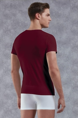 Doreanse 2855 Erkek Modal V Yaka Kısa Kol Bordo T-Shirt