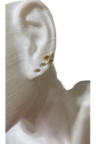 Minimal Kutup Yıldızı Kıkırdak Tragus Helix Pearsıng Küpe 316l Çelik Altın