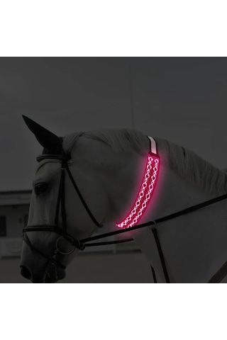 Willowhaven Pembe Led At Yakası Gece Binicilik Güvenlik Ekipmanı Ayarlanabilir Pembe
