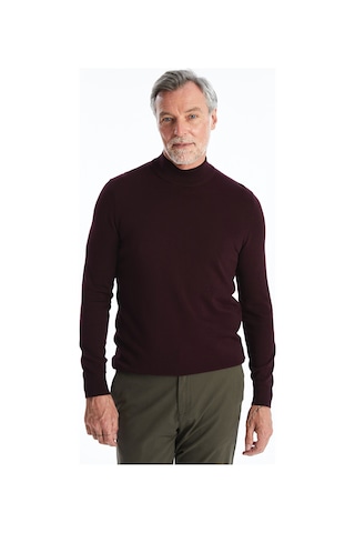 Lcwaıkıkı Classic Bordo Yarım Balıkçı Yaka Erkek Triko Kazak