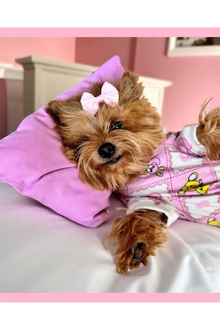 Toad Teddy Penye Tulum Yastık Takım Uyku Set Köpek Tulum Elbise