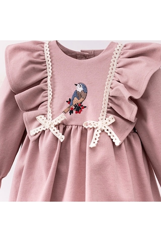 Kuş Nakışlı Kız Bebek Elbise Pudra