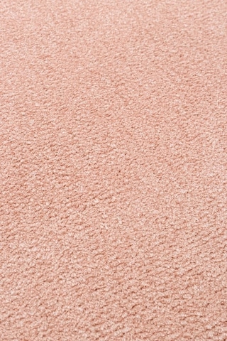 Hoom Rugs Shaggy 01 Pink Modern Shaggy Halı