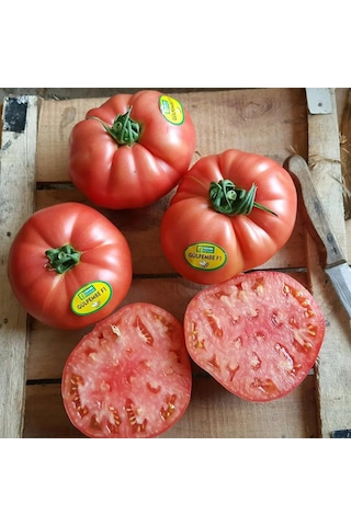 5 Adet Gülpembe Köy Domates Fidesi