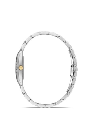 Ferro Quartz Çelik Altın/gri Yeşil Kadran 22 Mm Kadın Kol Saati
