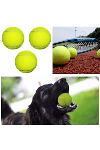 3 Adet Tenis Topu Köpek Oyun Topu Ve 1 Adet Zilli Ayarlanabilir Kedi Tasması