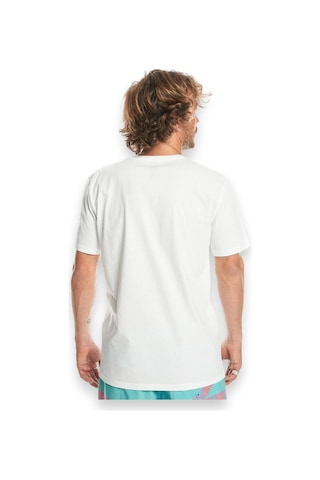 Quiksilver Eqyzt07657 Mw Mini Logo Ss Beyaz Erkek T-shirt Beyaz