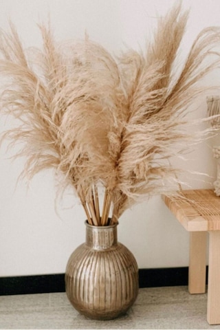 Gerçek Kuru Çiçek 7'li Büyük Boy Pampas 100 Cm Natürel