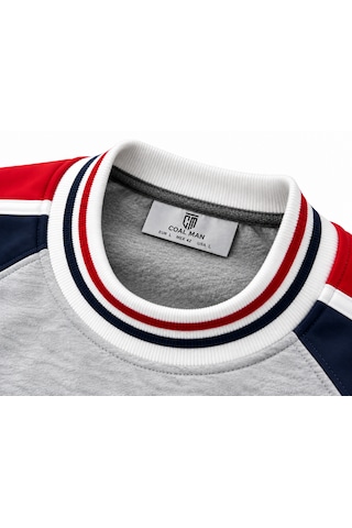 Coal City Erkek Detaylı Renk Bloklu Sıfır Yaka Sweatshirt Gri