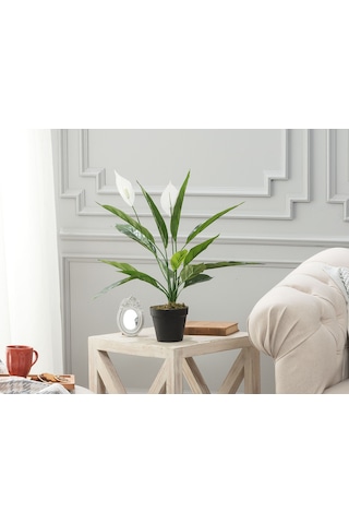 Madame Coco Broche Saksılı Bitki 1kcıck1749 58cm-std