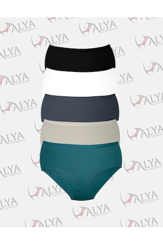 Alya Underwear Kadın Büyük Beden Külot Battal Full Brief, Yüksek Bel 5xl, 6xl, 7xl 5 Farklı Renk 1 Pakette P10