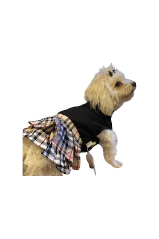 Gedyco Burberry Küçük Irk Köpek Elbisesi