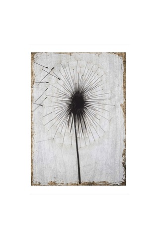 Bedeko Şeytan Tüyü Hediyelik Mdf Tablo 50 Cm X 70 Cm