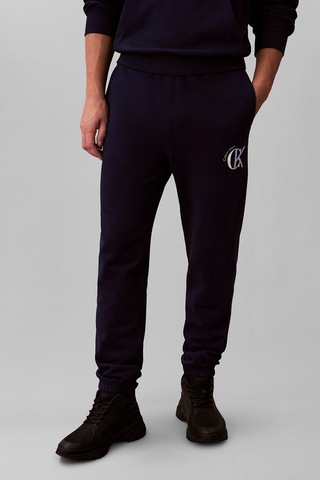 Calvin Klein Jeans Erkek Eşofman Altı Lv04re256g Mor