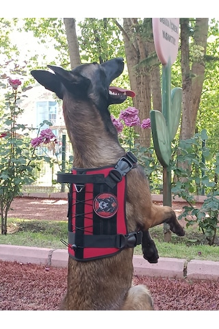 Tactical Göğüs Tasması Taktik Tasma Kırmızı