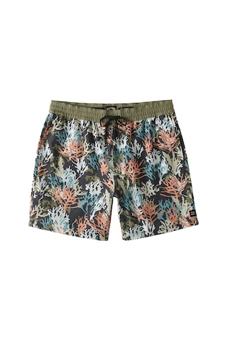 Bıllabong Billabong Coral Garden Layback Erkek Volley Short Mul Çok Renkli