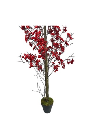 Yapay Ağaç Kokina Ağacı 150cm Doğal Görünümlü 7dallı