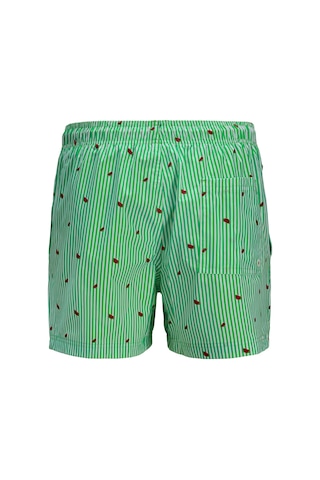 Jack & Jones Jack&jones Maui Mini Stripe Erkek Yeşil Mayoşort Yeşil