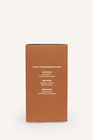 Defacto Erkek 100 Ml Smoky Cedar Parfüm I0194axnsbn182 Odunsu