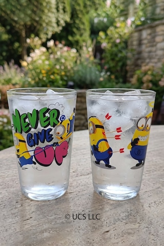 Minions Lisanslı 2'li Su Bardağı 400 Cc Çok Renkli