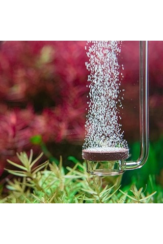 Aquario Neo Co2 Diffuser Normal Special S