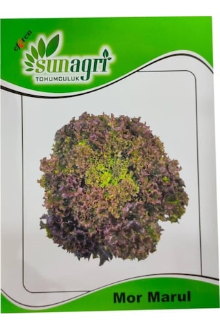 Mor Marul Tohumu