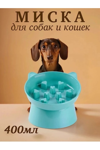 Vektorı Kedi Kabı 391740898