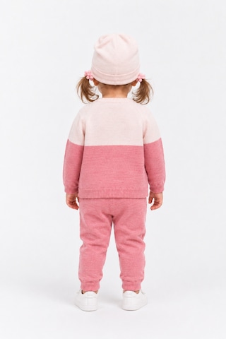 Babyhola Çocuk Teddy Bear Detay Kazak Pantolon Bere Triko Kışlık Takım 22113 Pembe