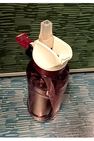 Lexroo Çocuk Pipetli Matara -0,5 L-ecozen -500 Gül Kurusu Çok Renkli