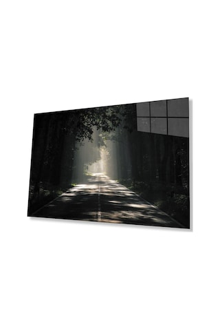 Ağaçlı Yol Cam Tablo 4mm Dayanıklı Temperli Cam Parkway Glass Wall Art