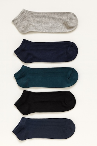 Plus Scorpion Erkek Pamuklu Çorap 5 Li Paket 40-44 Numara Farklı Renk Kombinasyonları Nefes Alabilir Günlük Ve Spor Kullanım Çok Renkli