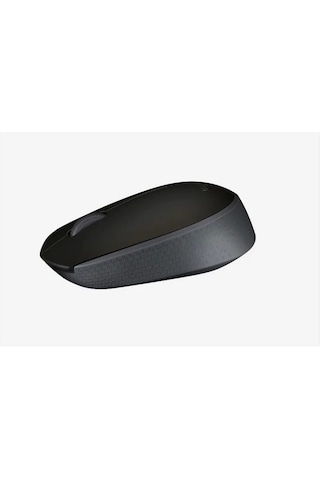 Logıtech M171 Kablosuz Usb Mouse Siyah 910-004424 001