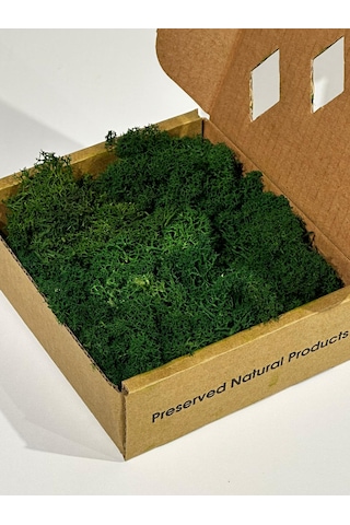 Reindermoss Şoklanmış Norveç Yosunu Terarium Yosunu Grass Green Light 100 Gr.