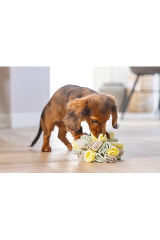 Beeztees Köpek Ödül Saklama Oyuncağı, Top, Polar, Gri/yeşil, 13cm