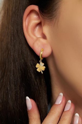 Zirkon Taşlı Gold Dört Yapraklı Yonca Halka Gümüş Küpe