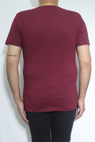 Santa Dmctekstil Erkek Düz Spor Kesim Dar Kalıp V-yaka T-shirt Bordo