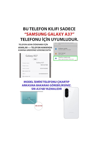 Samsung Galaxy A37 Uyumlu Mavi Deniz Kabuğu Ve Yıldız Desenli Baskılı Silikon Kılıf