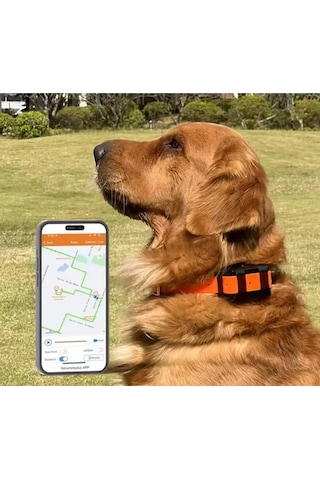 Tkstar Yg119 4g Yeni Köpek Kedi Evcil Hayvan Gps Takip Cihazı Tkstar Av Köpeği Takip Evcil Hayvan Takip Turuncu
